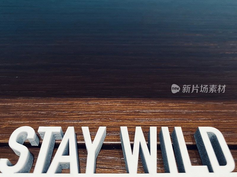 短短语STAY WILD on brown背景